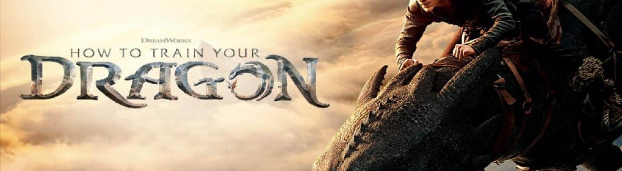 HOW TO TRAIN YOUR DRAGON BANNER 7