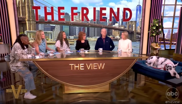 The Friend banner VIEW INTERVIEW web