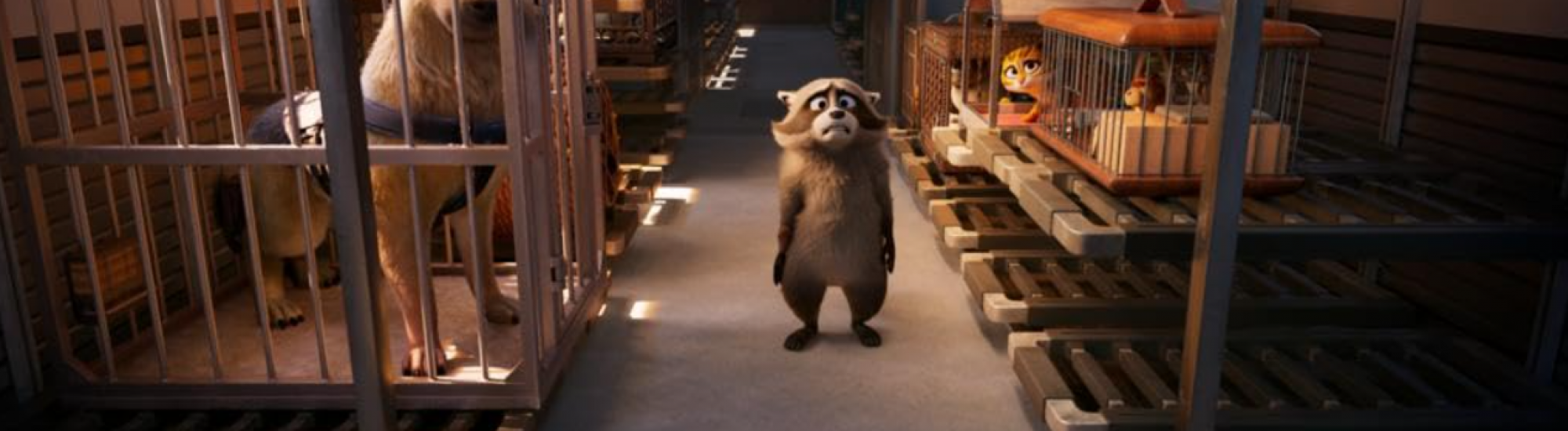 Pets On a Train Banner