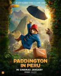 Paddington in Peru Low res