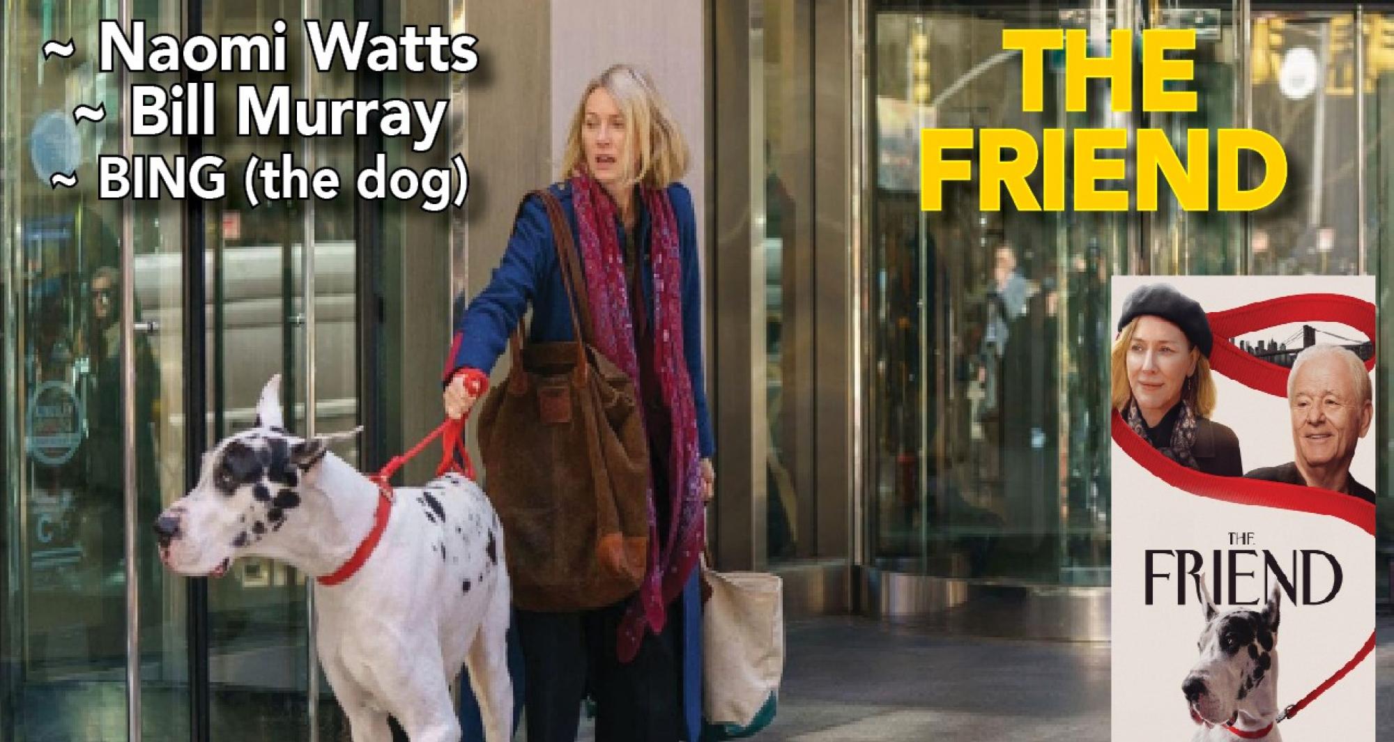The Friend banner 6